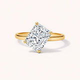 The Slant Radiant